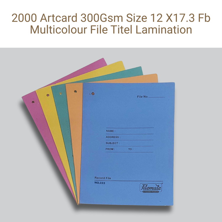 Picture of Art Card File – 300 GSM – 12×17.3 in – Front & Back Multicolor – Lamination – Qty 2000